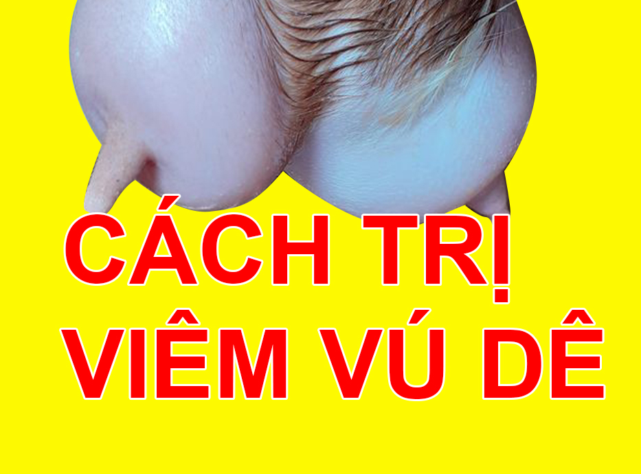 Bệnh viêm vú dê, nguyên nhân và cách phòng trị 